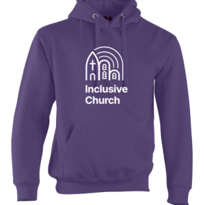 PRE-ORDER: IC Kids Hoodie (Pullover)